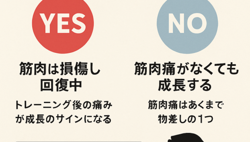 ChatGPT Image 2025年6月6日 17_13_13