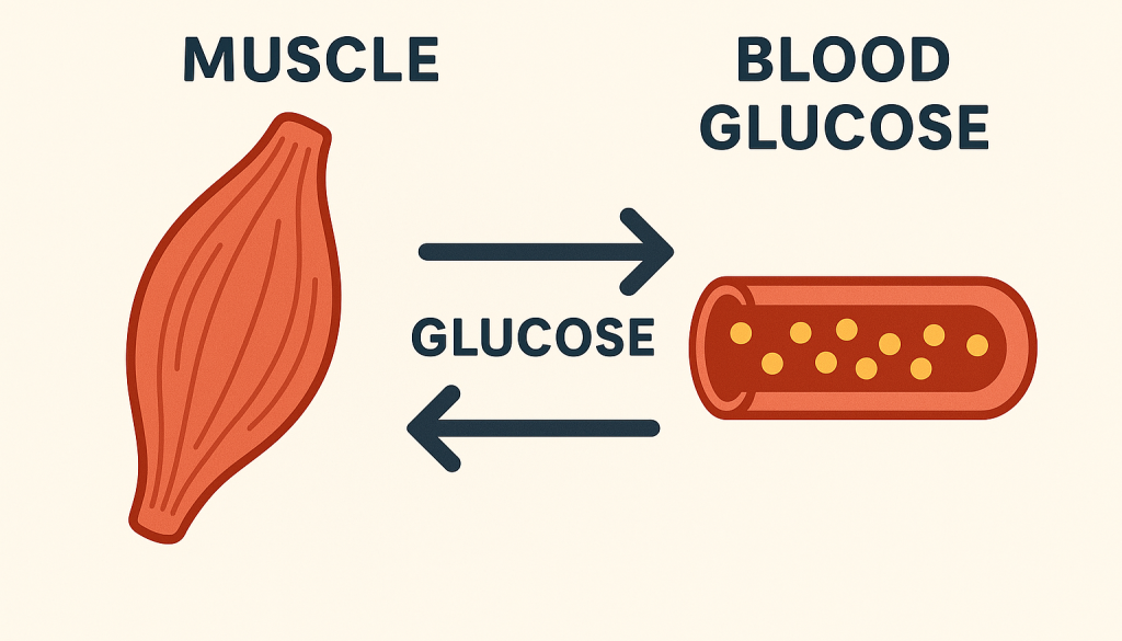 ChatGPT Image 2025年11月10日 12_06_57