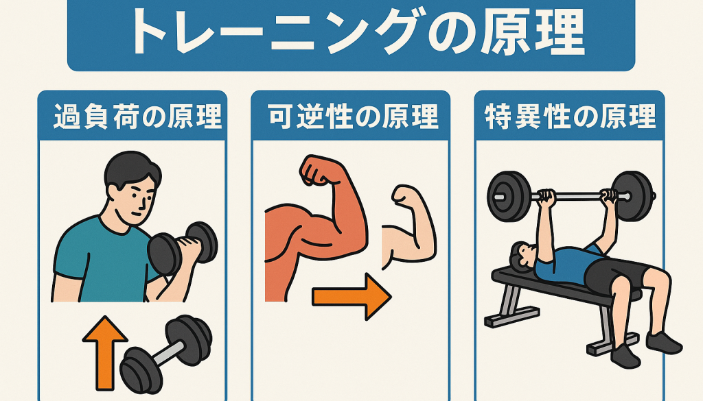 ChatGPT Image 2025年11月3日 12_19_54 ChatGPT Image 2025年11月3日 12_19_54