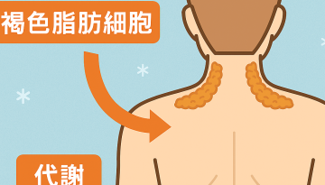 ChatGPT Image 2025年12月15日 17_26_36 ChatGPT Image 2025年12月15日 17_26_36