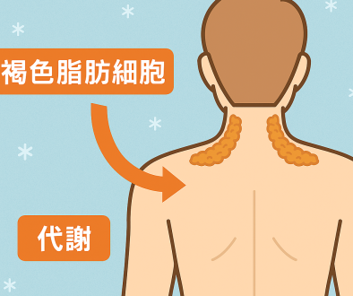 ChatGPT Image 2025年12月15日 17_26_36 ChatGPT Image 2025年12月15日 17_26_36